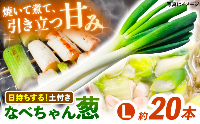 
                  【先行予約】【2026年11月発送開始】ねぎ 焼いてそのまま美味しい！なべちゃん葱(土付き) 秀品 Lサイズ5kg 約20本 ねぎ ネギ 野菜 白ネギ 長ネギ 5kg 5キロ 大容量 産地直送 鍋 すき焼き 焼肉 BBQ 薬味 新鮮 美味しい 甘い 土付き 島根県雲南市/山さんファーム [AICO002]
                