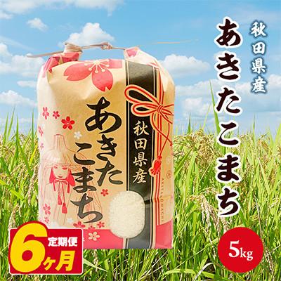 ふるさと納税 潟上市 【毎月定期便】秋田県産あきたこまち 白米 5kg全6回