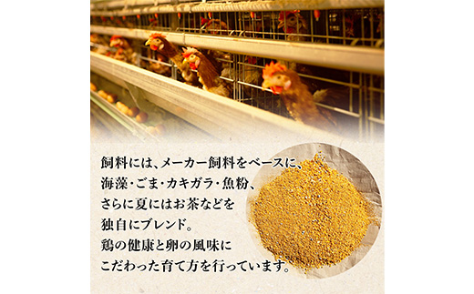 岩田のおいしい卵実用中玉25個+破卵保障5個(10個入り×3パック)【配送不可地域：離島】