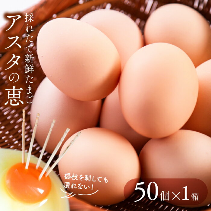 　黄身が濃厚な卵 アスタの恵み 50個入×1ケース 朝採りたまご 新鮮 産地直送 国産 茨城県行方市 送料無料
