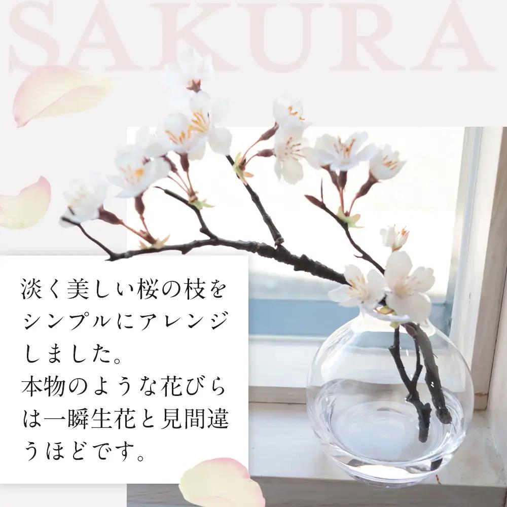 新春　淡雪桜　さくら　魔法の水　マジカルウォーター『淡雪』