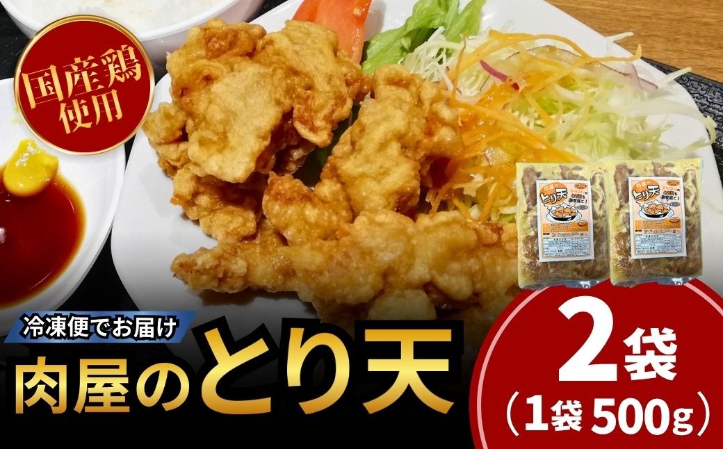 
                  とり天 肉屋のとり天 国産鶏使用 500g×2袋 | とり天大分 とり天唐揚げ とり天冷凍 とり天おつまみ とり天弁当 鶏天大分 鶏天冷凍 とりてん 絶品とり天 名物とり天 トリテン 鳥天 toriten
                
