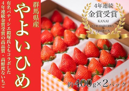 金井いちご園のいちご（やよいひめ）　3箱（大粒いちご約400ｇ×2パック／1箱）