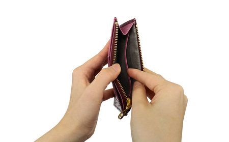 【浅草文庫】フラグメントケース〈千鳥草柄〉(カラー：ボルドー)