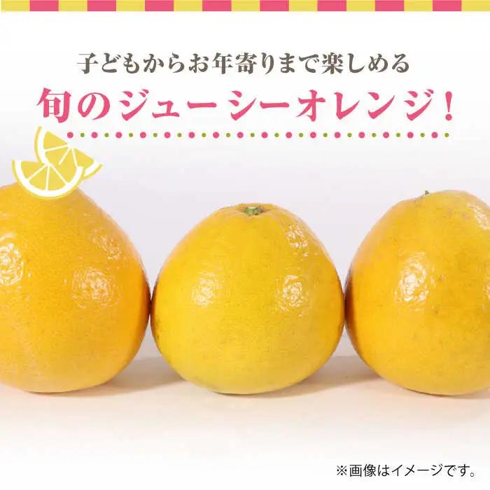 【先行予約】ジューシー オレンジ 約10kg 果物オレンジ柑橘ZBG012