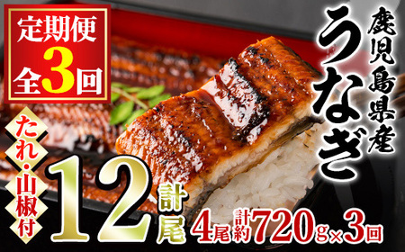 ＜定期便・全3回＞東串良町 うなぎ 蒲焼 (無頭)(4尾・計約720g・タレ、山椒付×3回) 高級 ウナギ 鰻 国産 たれ 鹿児島 ふるさと 人気【アクアおおすみ】【80042】