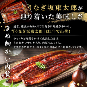 のし対応可能 国産 うなぎ 「坂東太郎 使用」 蒲焼 5串 小サイズ 80g前後×5パックmi0058-0004