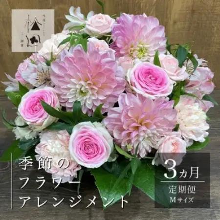 【毎月定期便】松田生花店の季節のフラワーアレンジメント Mサイズ全3回【配送不可地域：離島】【4050665】