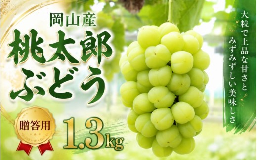 
                  ぶどう 2026年 先行予約 桃太郎 ぶどう 2～３房 約1.3kg ブドウ 葡萄 果物 くだもの フルーツ 岡山県産 国産 フルーツ 果物 ギフト【hrko027-01】
                