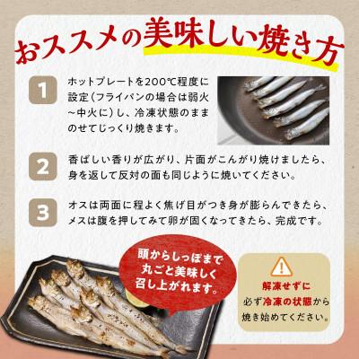 ふるさと納税 白糠町 しらぬか産 本ししゃも 【訳あり】中オス10尾・中メス20尾 |  | 03