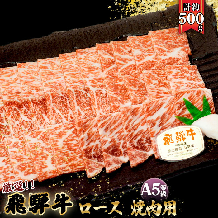 【ふるさと納税】店主こだわり雌牛 飛騨牛A5等級　ロース　焼肉用　約500g [No.038] ／ 牛肉 ブランド牛 やきにく メス牛 冷凍 送料無料 岐阜県 特産