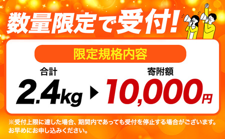 豚肉 ひごのポーク バラエティセット 2.4kg 《7-14日以内に出荷予定(土日祝除く)》 豚肉 