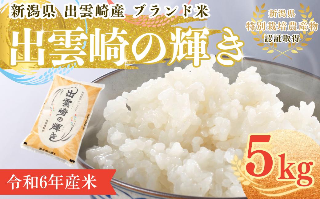 
            【1ヶ月以内発送・数量限定】令和6年産コシヒカリ 特別栽培米  「出雲崎の輝き」 5㎏  新潟県産 出雲崎町産   ブランド米 白米 精米 お米 
          