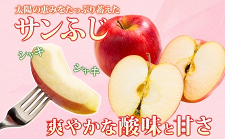 【3月発送】贈答用 サンふじ 約3kg【青森りんご】