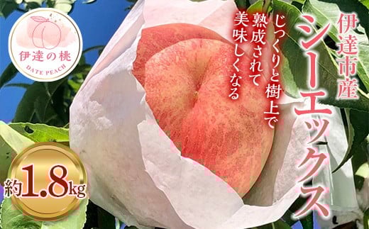 【2026年出荷分先行予約】福島県産 シーエックス 約1.8㎏ (4～6玉) あかい果樹園 大玉 固め 伊達の桃 桃 フルーツ 果物 もも モモ momo F20C-907