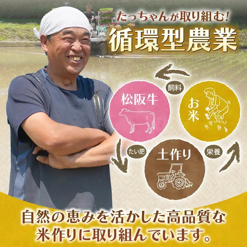 令和7年産 ミルキークイーン 20kg お米 白米 精米