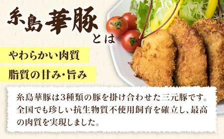 糸島華味鳥チキンカツ 糸島華豚ヒレカツセット(合計38枚)《糸島》【糸島ミートデリ工房】 [ACA102] トンカツ とんかつ 冷凍 チキンカツ 冷凍食品 惣菜 セット 肉 カツトン カツとんかつ カ