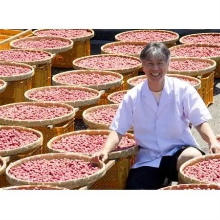 【のし付き】結いの梅「こ梅ぼし」500g(箱入り)【配送不可地域：離島・沖縄県】【1452937】