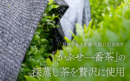 特上煎茶 清紹庵 300g（ 100g×3本 ）KN162-001-02 茶 お茶 日本茶 緑茶 茶葉 飲料 かぶせ一番茶 深蒸し茶 鹿児島県産 水出し 厳選 清紹茶庵いこい ふるさと納税 鹿児島 鹿