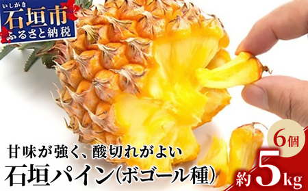 【先行受付】石垣パイン 6個セット ボゴール種【2026年5月初旬～6月初旬発送予定】MI-005
