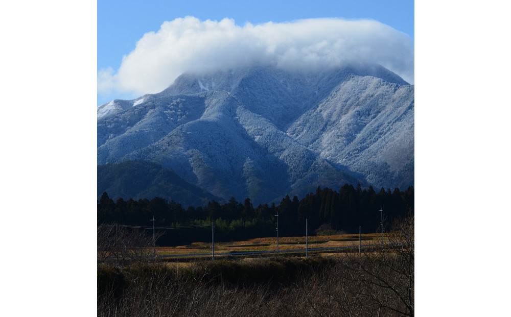 1805.令和7年産　こしひかり　10kg