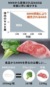 家族でシェア！！100年時代応援サプリ　NMN15000×25袋　NMN 健康  維持  若々しく サプリ エネルギッシュ 酵素 酵母 伊豆