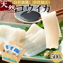 【ふるさと納税】天然コウイカ 約500g イカ いか | 食品 加工食品 人気 おすすめ 送料無料