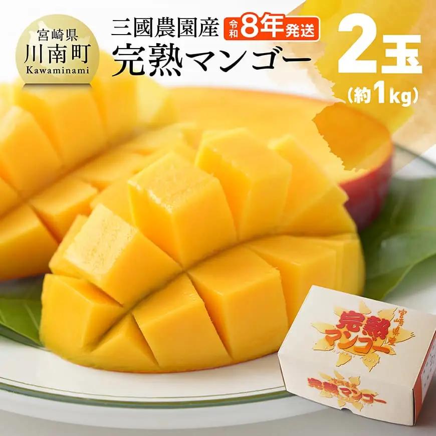 【令和8年発送】宮崎県産完熟マンゴー 三國農園完熟マンゴー2玉（約1kg）フルーツ マンゴー