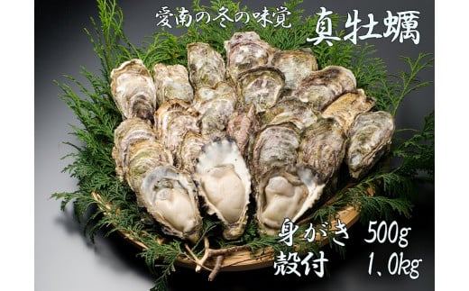 【ふるさと納税】 先行予約 愛南かき （ むき身 500g ・ 殻付 1kg ） 15000円 牡蠣 身がき むき身 殻付き かき カキ オイスター 鍋 カキフライ ミルク ソテー クリームシチュー グラタン 牡蠣鍋 蒸し 酒蒸し オイル漬 塩辛 冷蔵 国産 産地直送 期間限定 愛南町 愛媛県