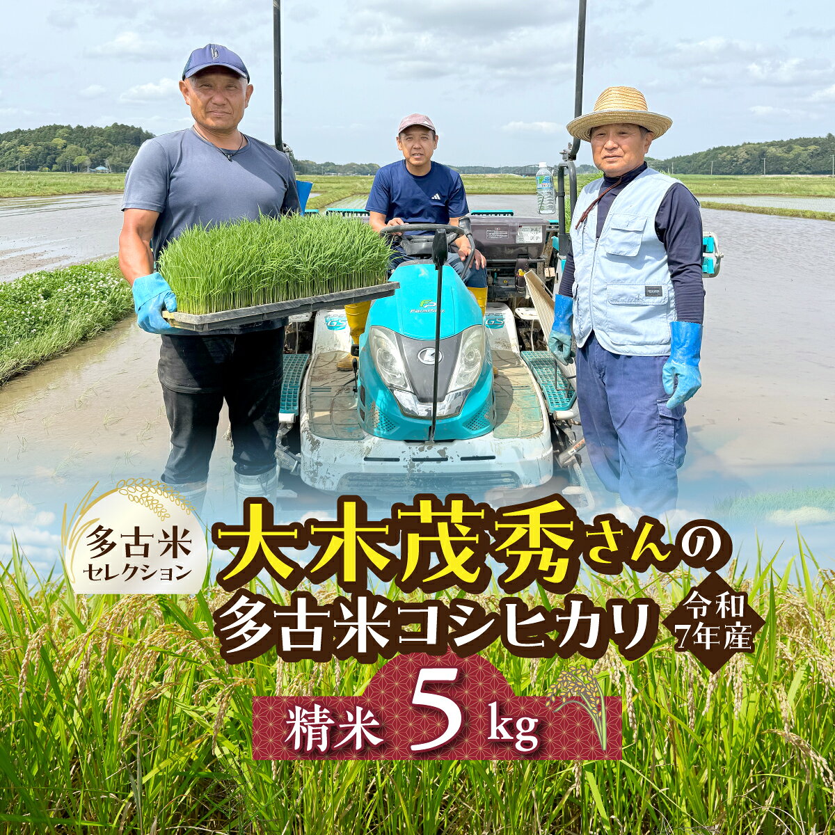【ふるさと納税】多古米セレクション　大木茂秀さんの多古米コシヒカリ　精米5kg　令和7年産【配送不可地域：離島】【TAKF055】