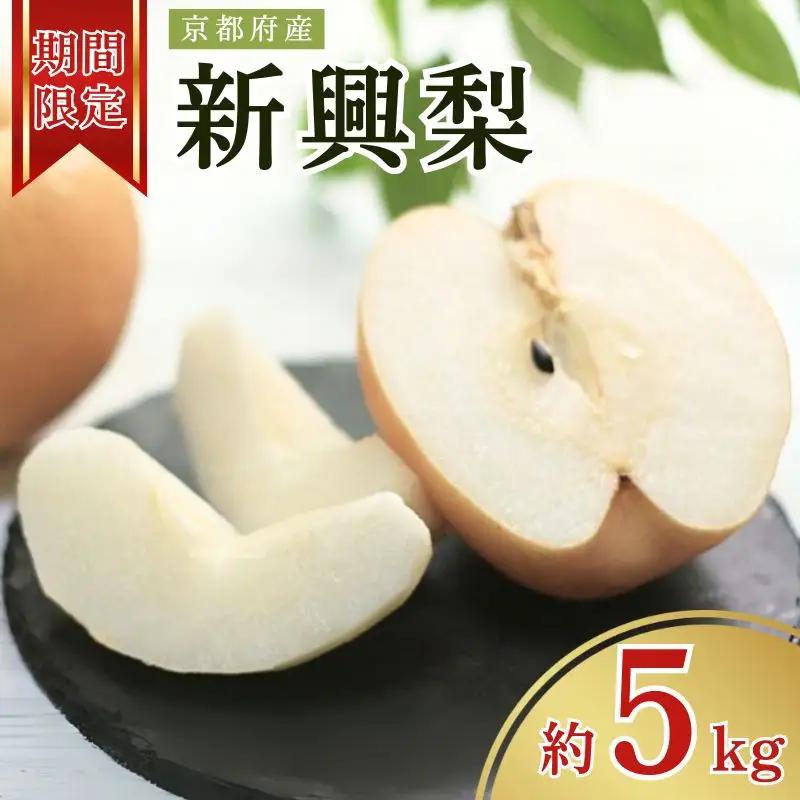 【先行予約 数量限定】 2026年度産 新興 梨 約5kg (6～14玉入り) 先行予約
