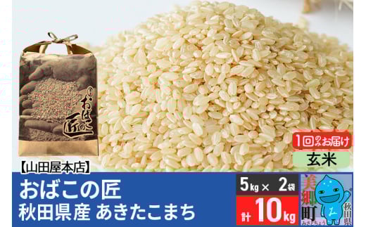 令和6年産 おばこの匠 秋田県産あきたこまち 10kg（玄米）5kg袋 秋田こまち お米