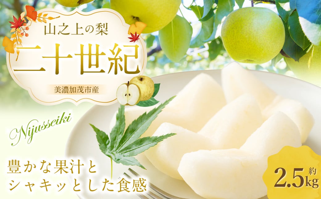 
            《先行予約》 「山之上果実農業協同組合」 山之上の梨 二十世紀 1箱 約2.5kg 【2025年9月上旬-10月上旬 発送予定】
          