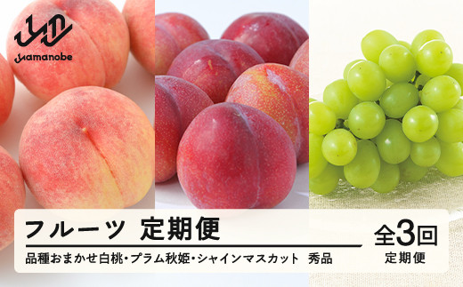 【先行予約】【フルーツ定期便】品種おまかせ白桃・プラム秋姫・シャインマスカット 秀品 全3回 tf-ft3hpb