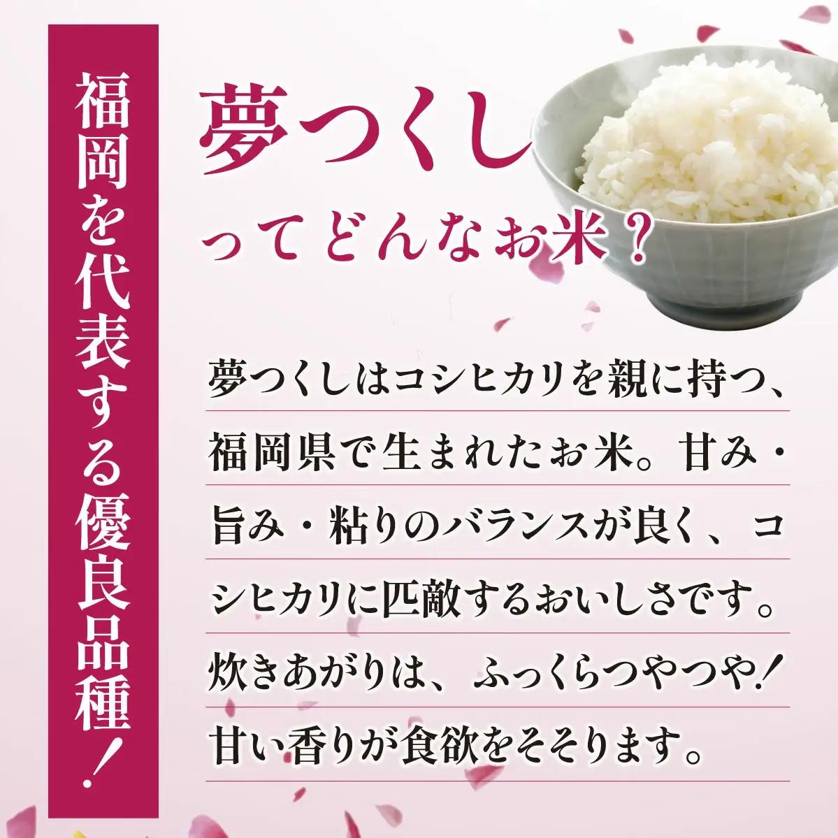 福岡県産米 無洗米 夢つくし 10kg 無洗 CY014 FN-Limited-SP