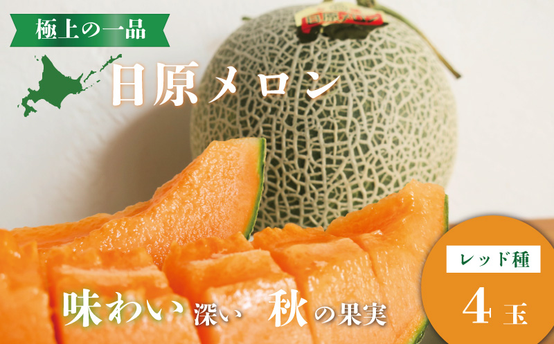 極上の一品「日原メロン（レッド種）」（1.7kg相当×4玉）