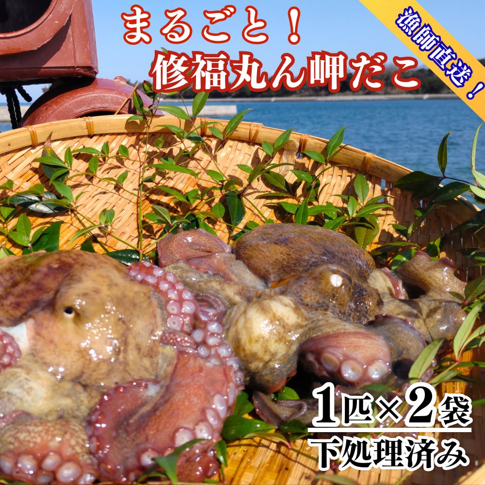 【ふるさと納税】修福丸ん岬だこ まるごと 2匹 真だこ 2杯 約 1.2kg 下処理済み 産地直送 真空 パック 送料無料