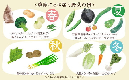 【隔月6回定期便】旬の京野菜と米セット 野菜