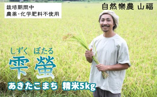 令和５年度産 雫螢＜精米 あきたこまち（無選別米）＞５kg 農薬、化学肥料：栽培期間中不使用【自然樂農　山福】