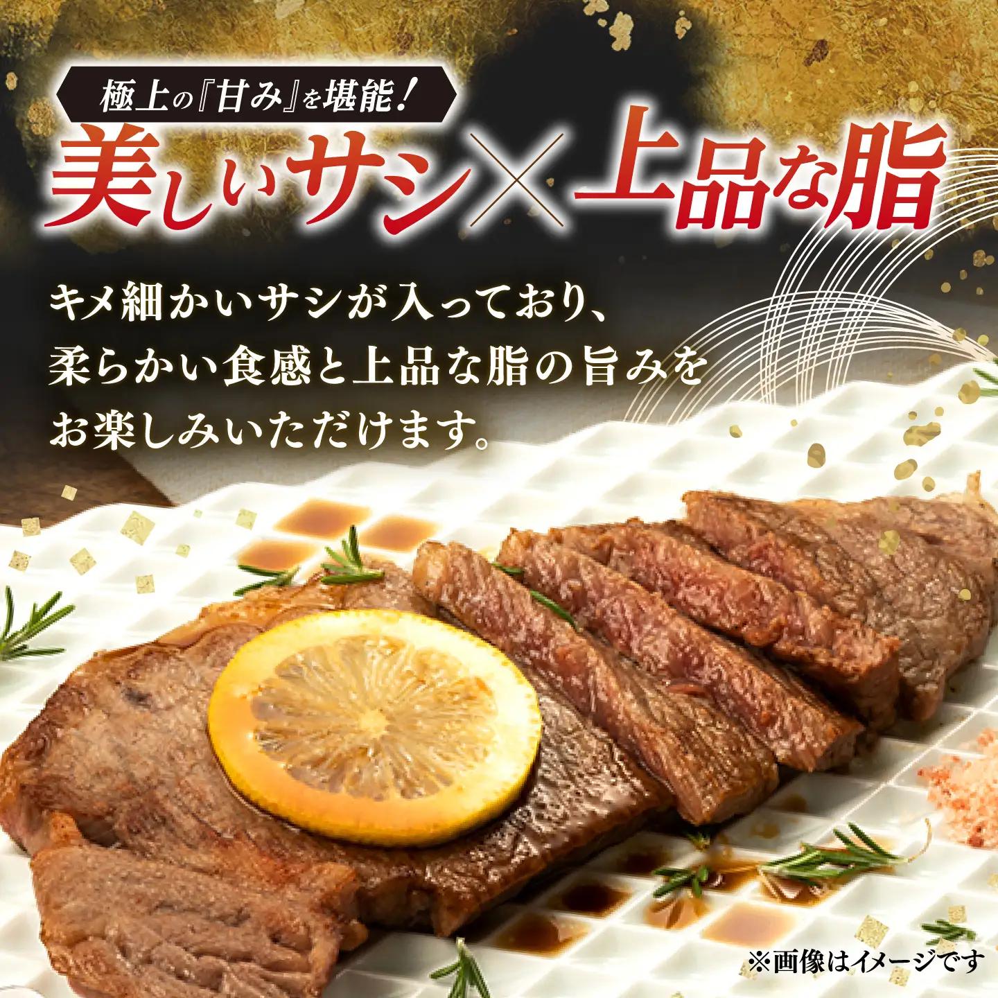 【定期便】 牛肉ステーキ 佐賀牛 総計6.0kg NAB064 牛肉ステーキ 全12回