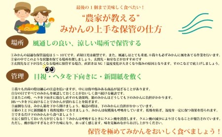 谷内青果 熟成みかん 秀品 サイズ混合 10kg