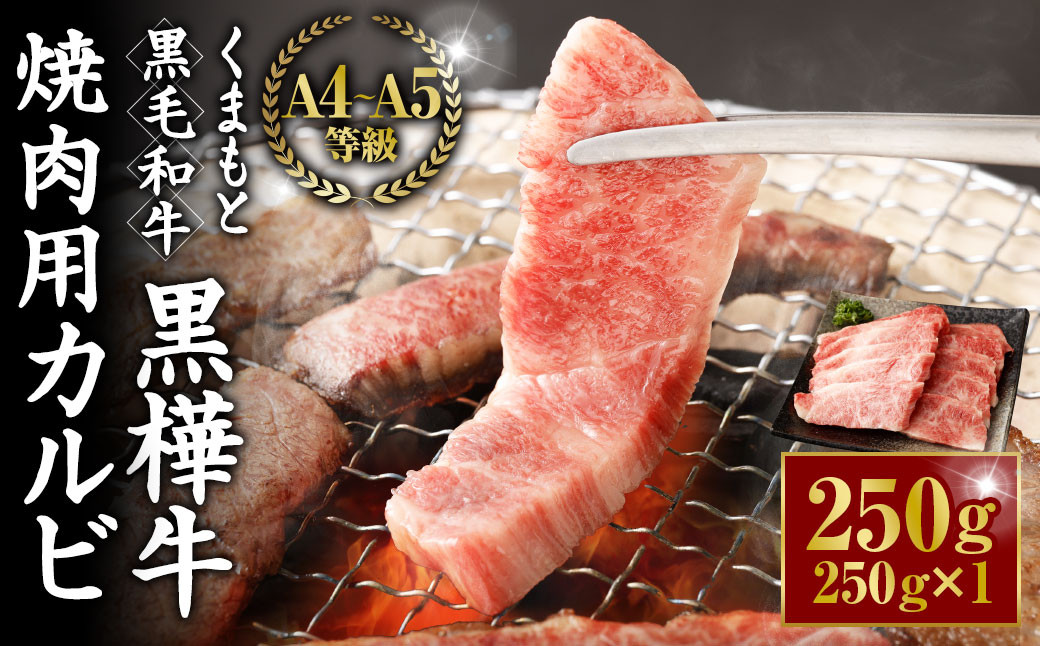 
くまもと黒毛和牛 杉本本店 黒樺牛 A4~A5等級 焼肉用カルビ 250g
