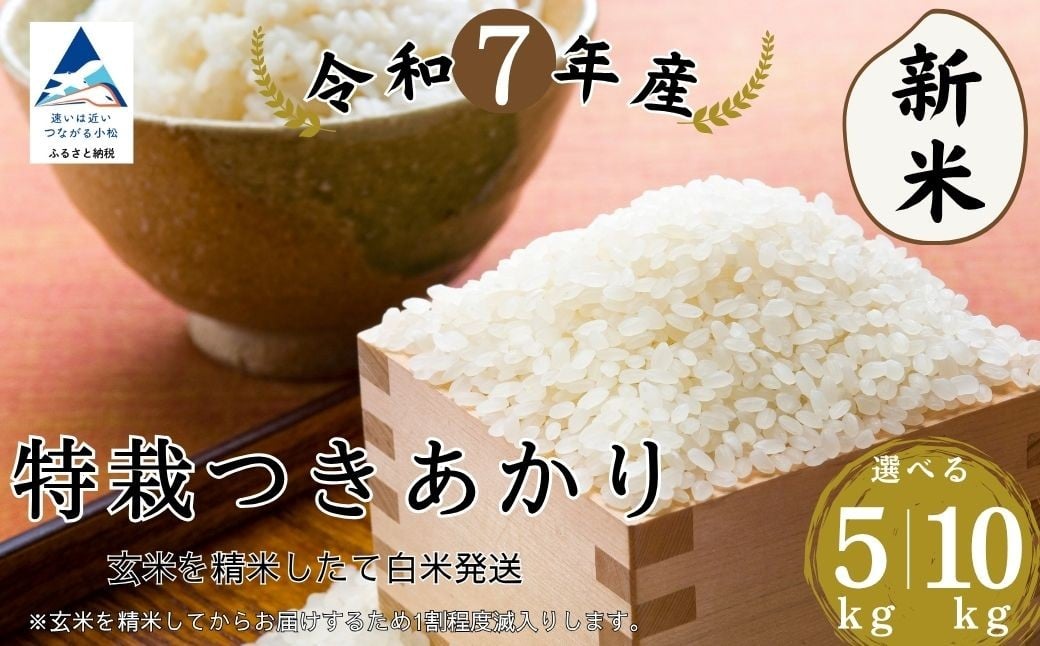 
            特栽つきあかり玄米 選べる5kg/10㎏ 精米したて白米発送 石川県 小松市 【のむら農産】
          