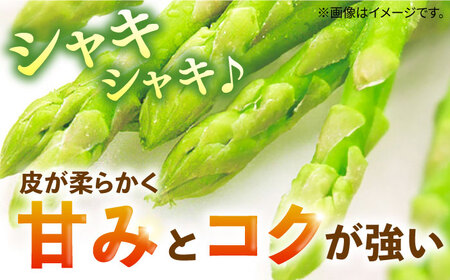 【先行予約】壱岐産　アスパラガス 2kg　【2025年3月以降順次発送】《壱岐市》【壱岐市農業協同組合】[JBO148]