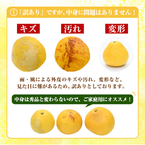 ＜先行予約受付中！2027年2月下旬以降順次発送予定＞訳あり！まなべみかん園のサワーポメロ (約9.5kg) 国産 鹿児島県産 阿久根市産 柑橘類 みかん ミカン 蜜柑 果物 フルーツ サワーポメロ 