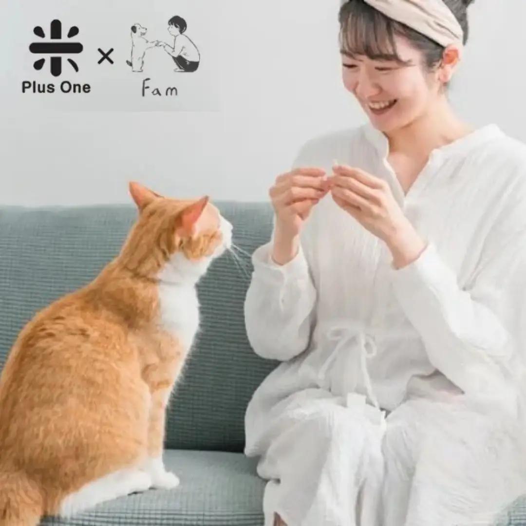 柿の種屋さんのねこちゃんのおやつ お米と鮭のプレミアムスナック 10個セット 阿部幸製菓