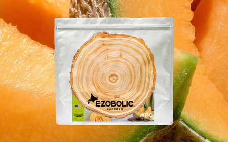 定期便3回 北海道メロン風味 エゾボリックプロテイン 1kg プロテインプロテインプロテインプロテインプロテインLG