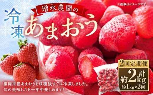 【 2回定期便 】 増永農園のあまおう冷凍いちご 約1kg あまおう 冷凍 いちご イチゴ 苺 国産 福岡県産 くだもの 果物 フルーツ 果実 定期 定期便