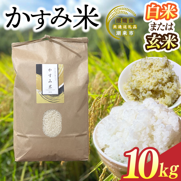 【2026年9月下旬より順次発送】★新米★R8年産 かすみ米 10kg(白米または玄米)【茨城県共通返礼品/潮来市】｜米 お米 新米 こめ かすみ米 10kg 白米 玄米 共通返礼品 茨城県共通返礼品 数量限定 先行予約 人気 送料無料(BI-89)