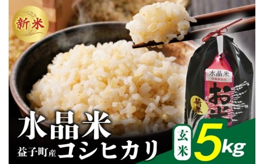瀬尾糀店の水晶米 コシヒカリ (玄米) 5kg | 水晶米 コシヒカリ 玄米 ふっくら 益子町 (AK014)
